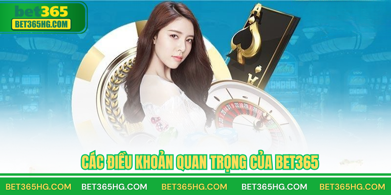 Các điều khoản quan trọng của BET365