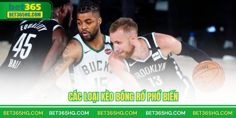 Các loại kèo bóng rổ phổ biến