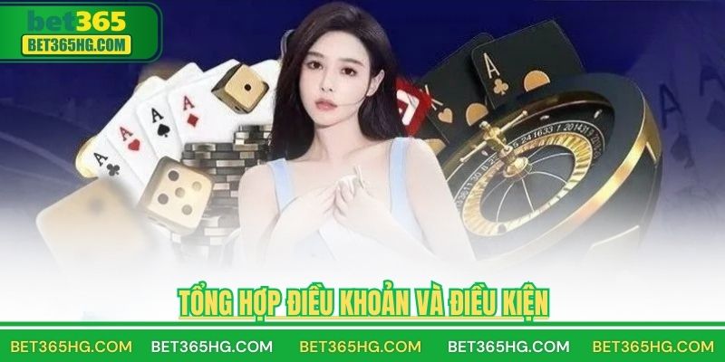 Tổng hợp điều khoản và điều kiện